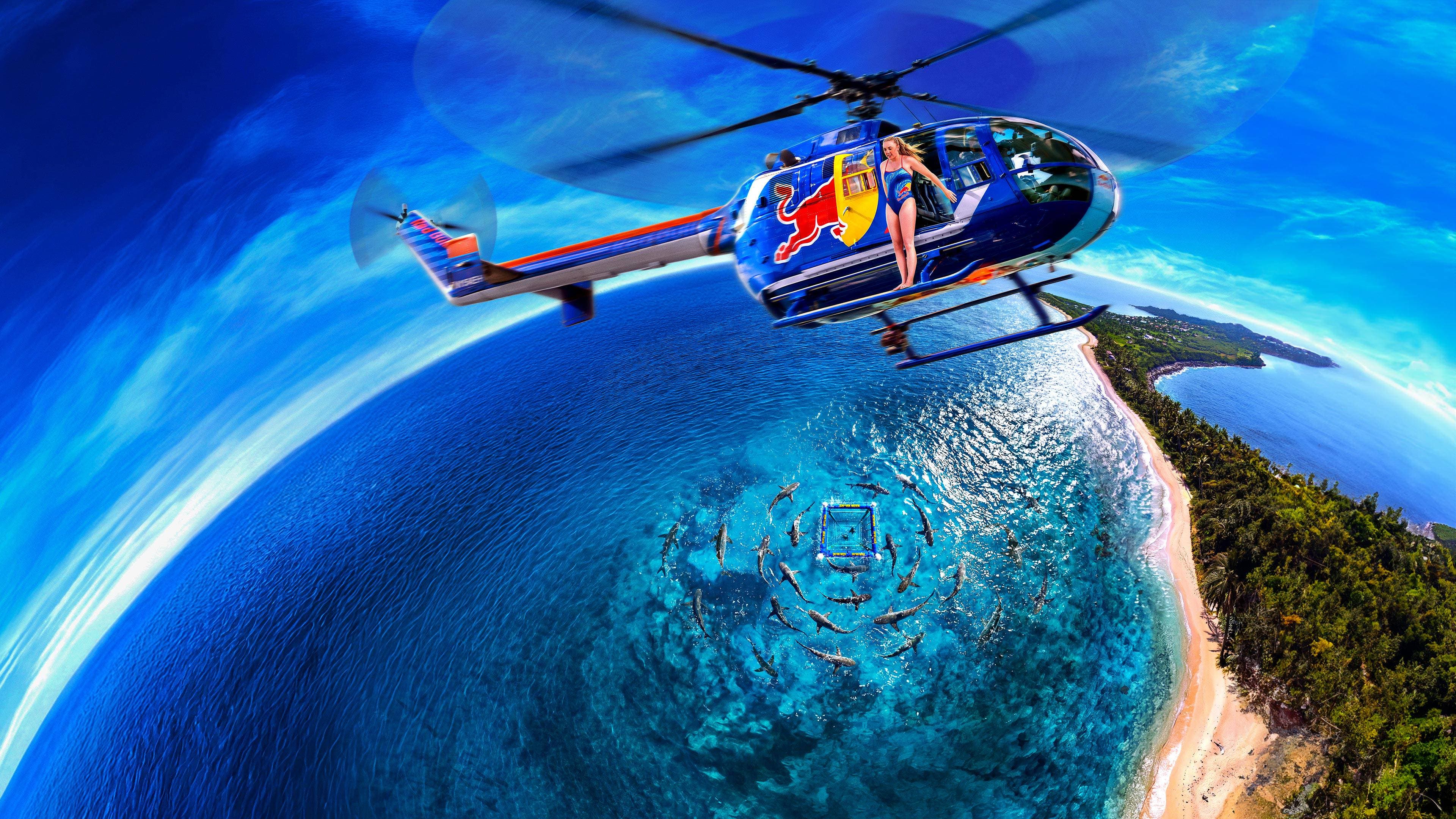 Ultimate Shark Dive